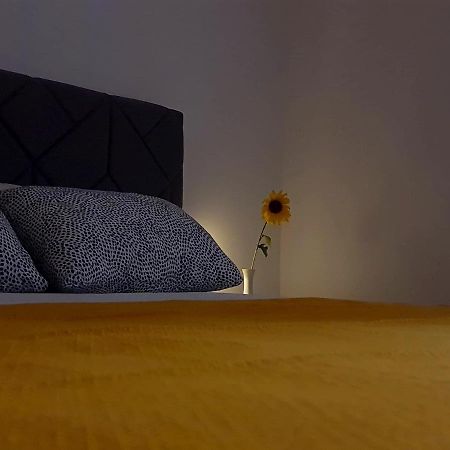 Appartamento Casa Bella - Vracar Belgrado Esterno foto