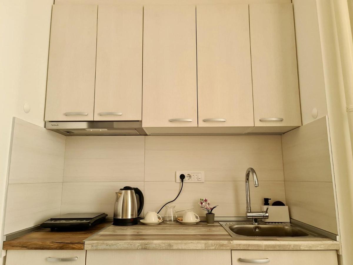Appartamento Casa Bella - Vracar Belgrado Esterno foto